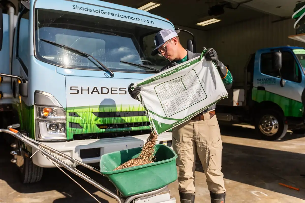 Technician pouring granular fertilizer into a walk-behind spreader