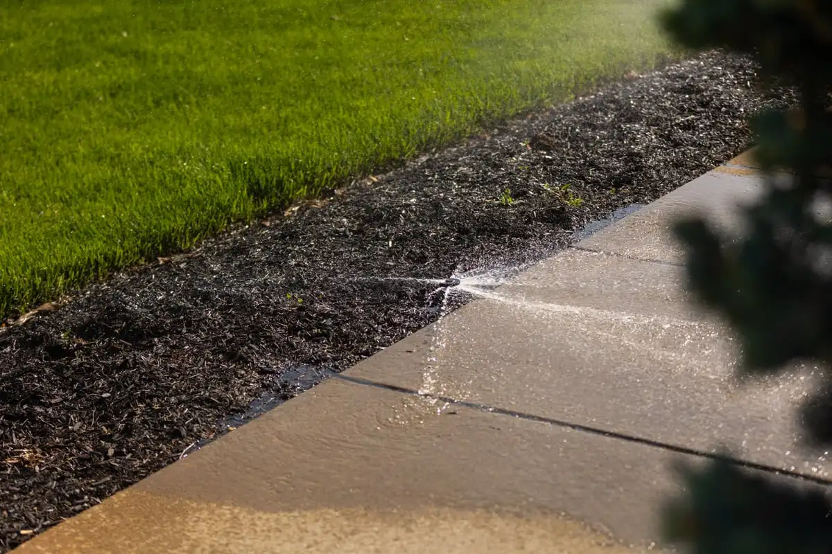 Sprinkler spraying water onto a sidewalk beside a lawn