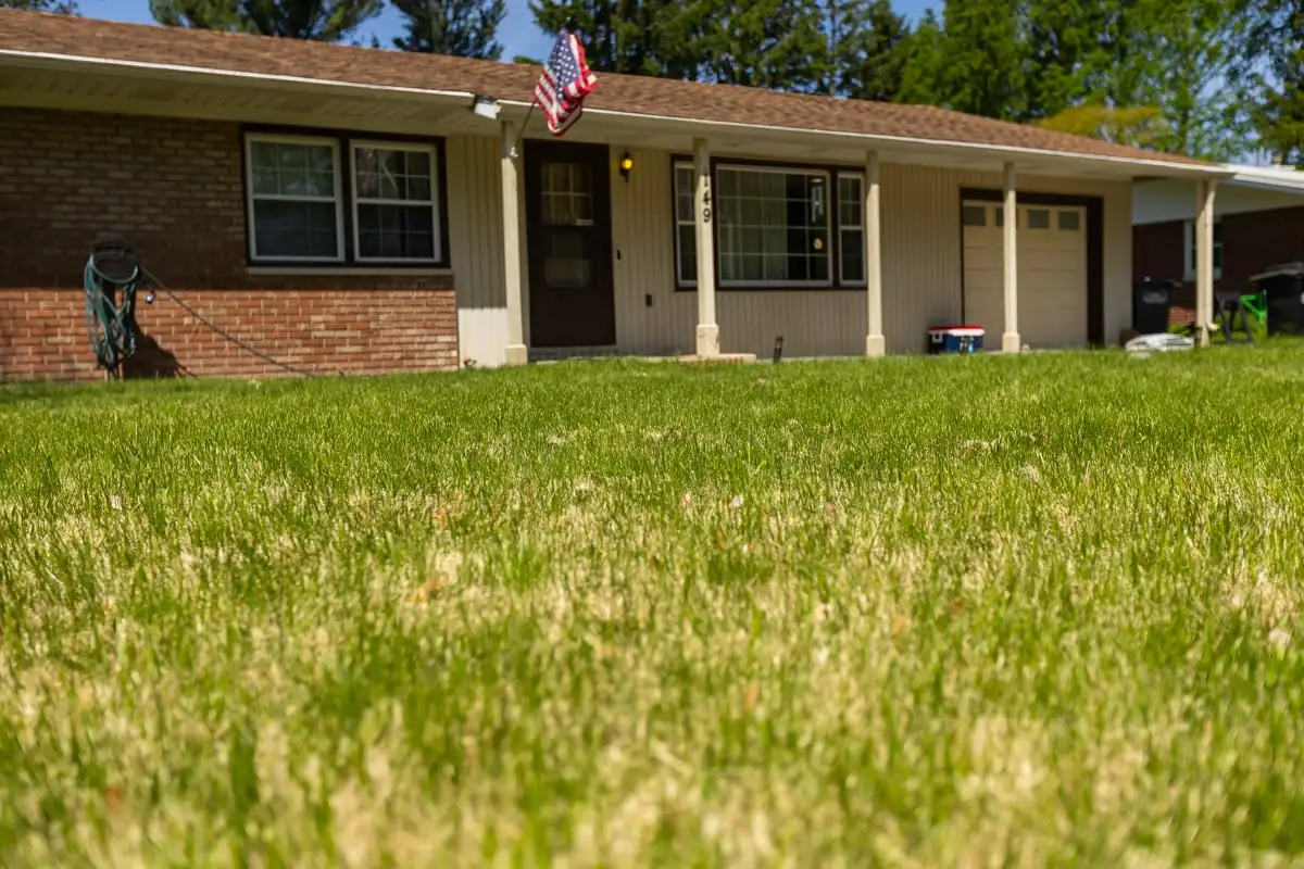 Yellowing grass in front of a brick home