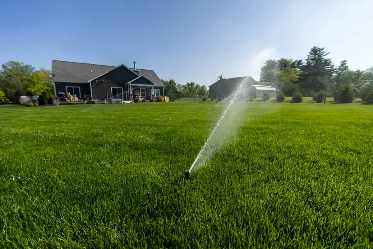 Sprinkler watering a green residential lawn