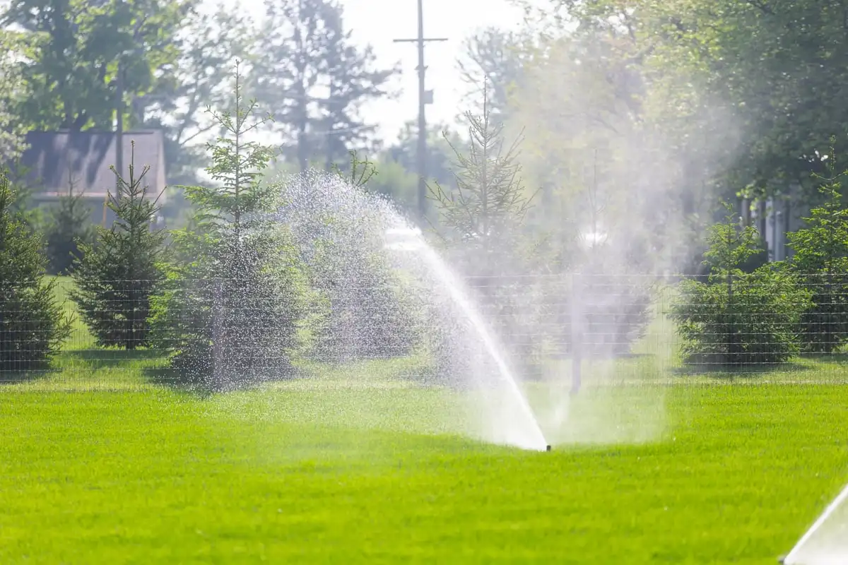 Sprinkler heads spraying water across a lawn