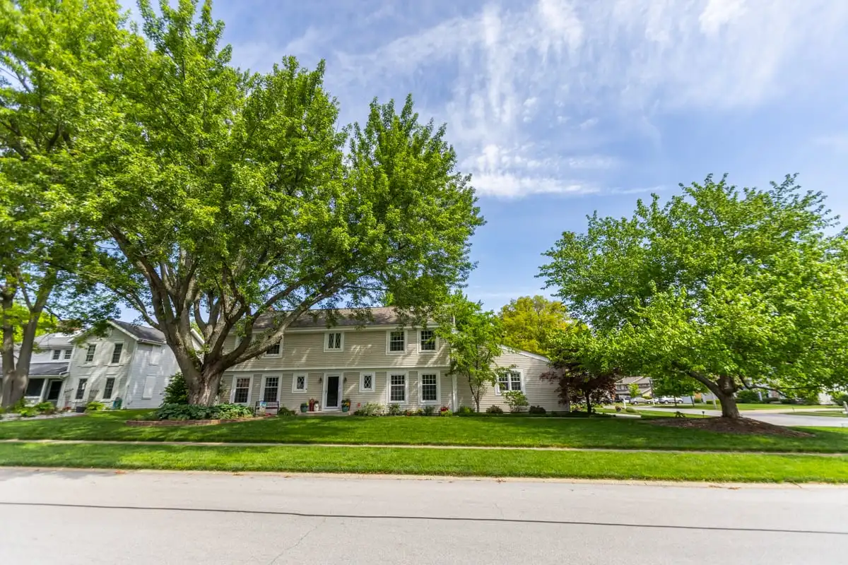 Green lawn beneath mature trees in front of a home