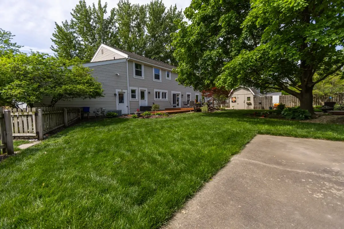 Green backyard lawn beside a patio