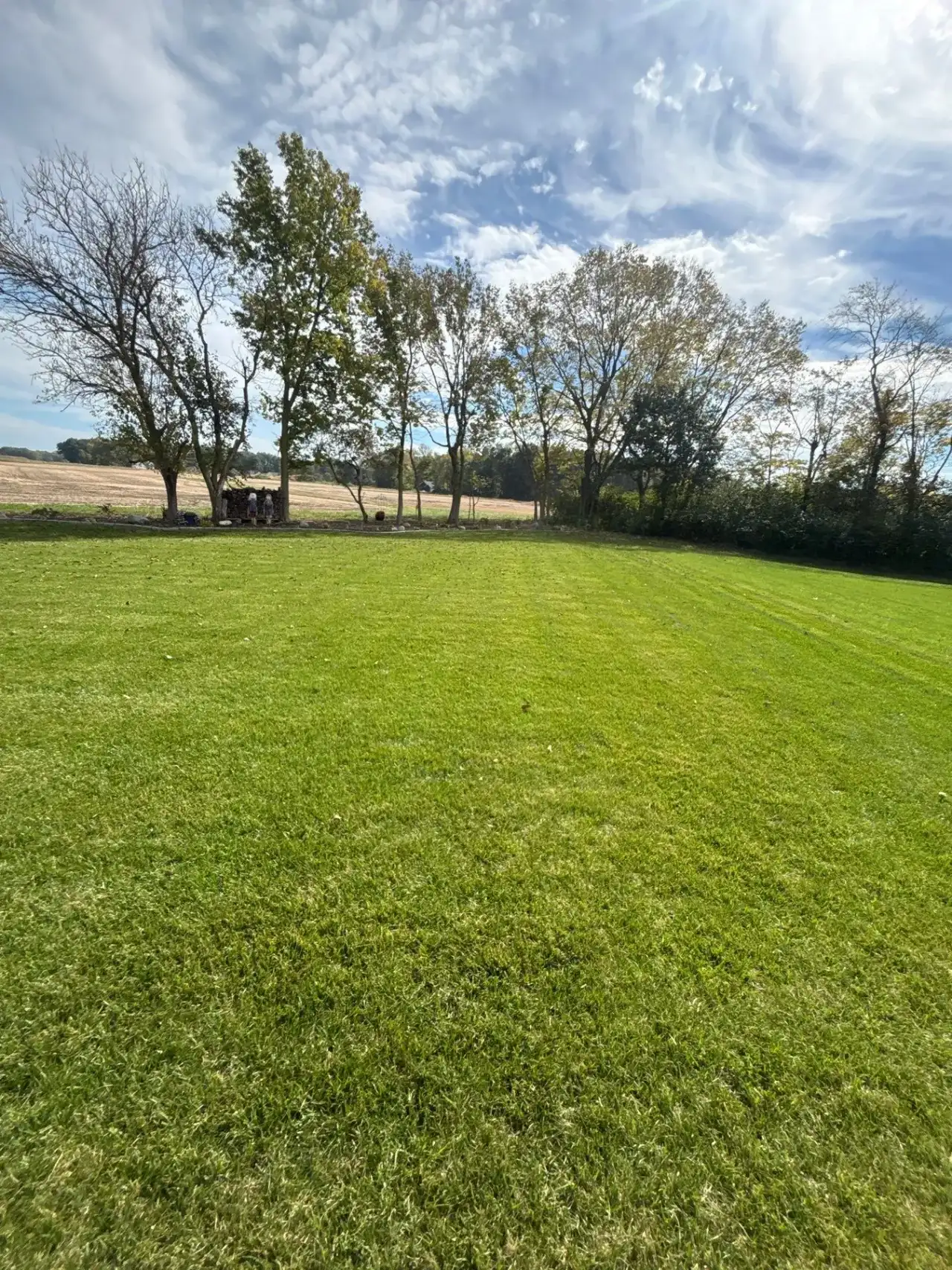Green backyard lawn bordered by trees and open farmland in West Lafayette, Indiana