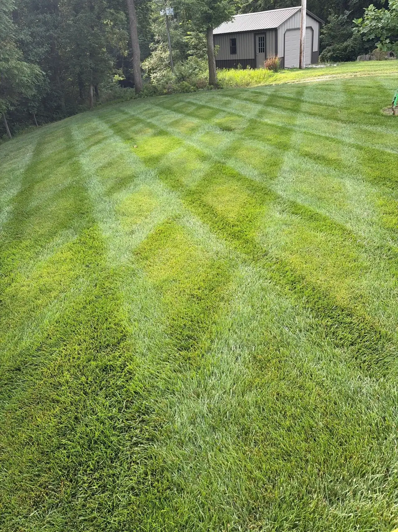 Crosshatch mowing stripes across a lawn leading to a garden shed in Battle Ground, Indiana