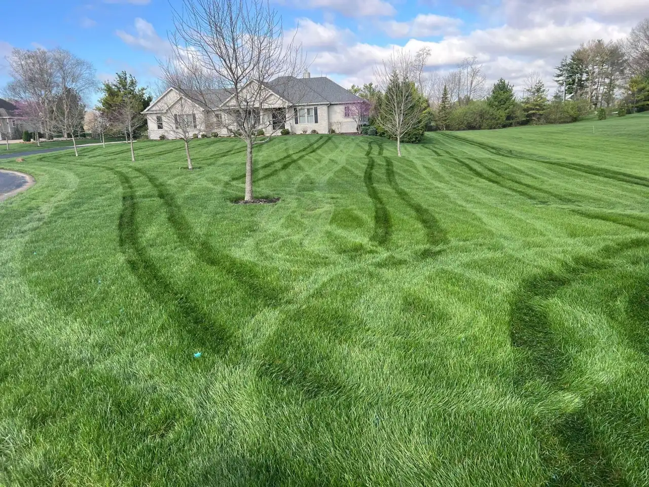 Curved mowing lines across a large West Lafayette, Indiana lawn