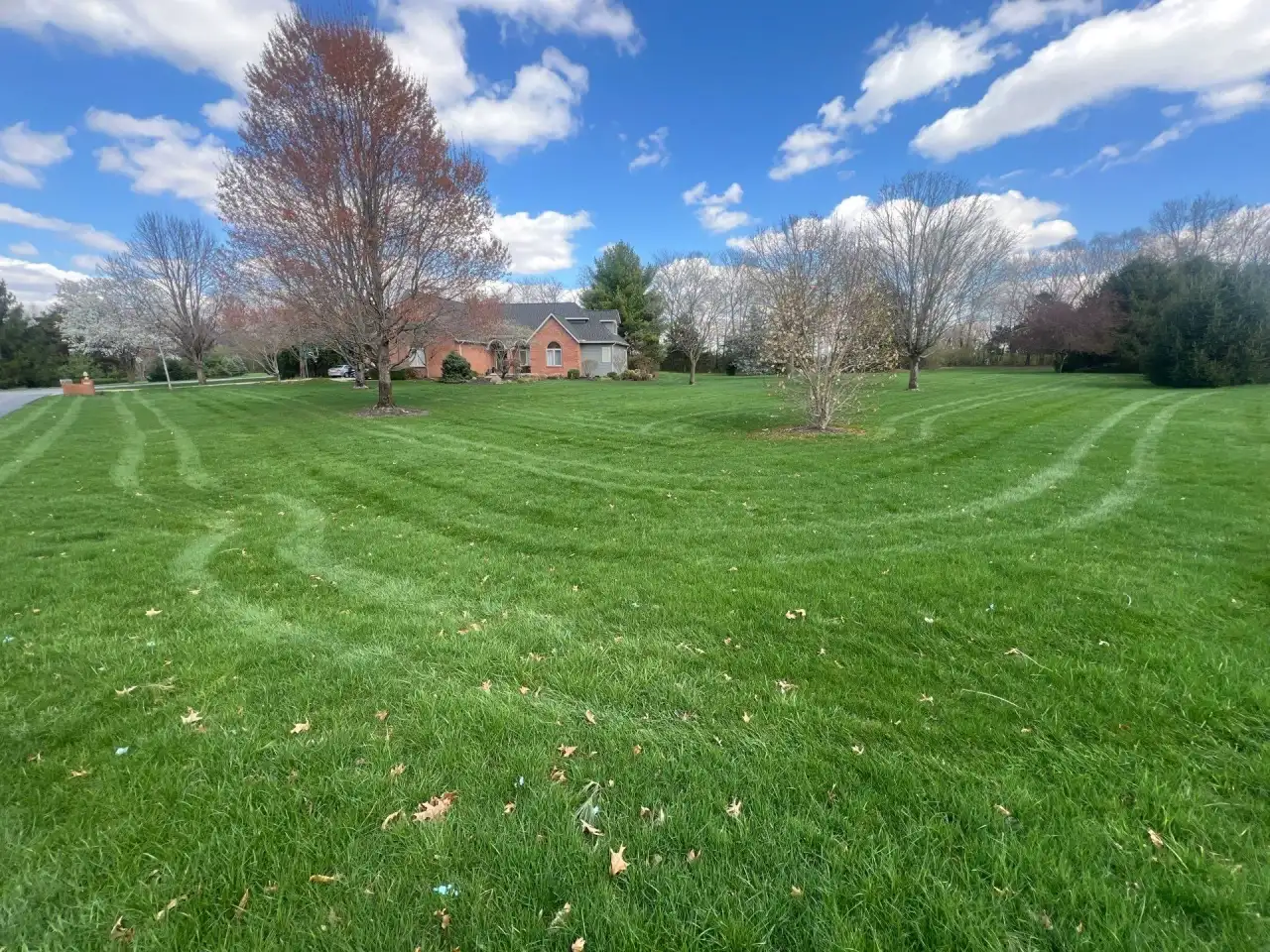 Curved mowing lines across a wide Lafayette, Indiana lawn under a blue, cloudy sky