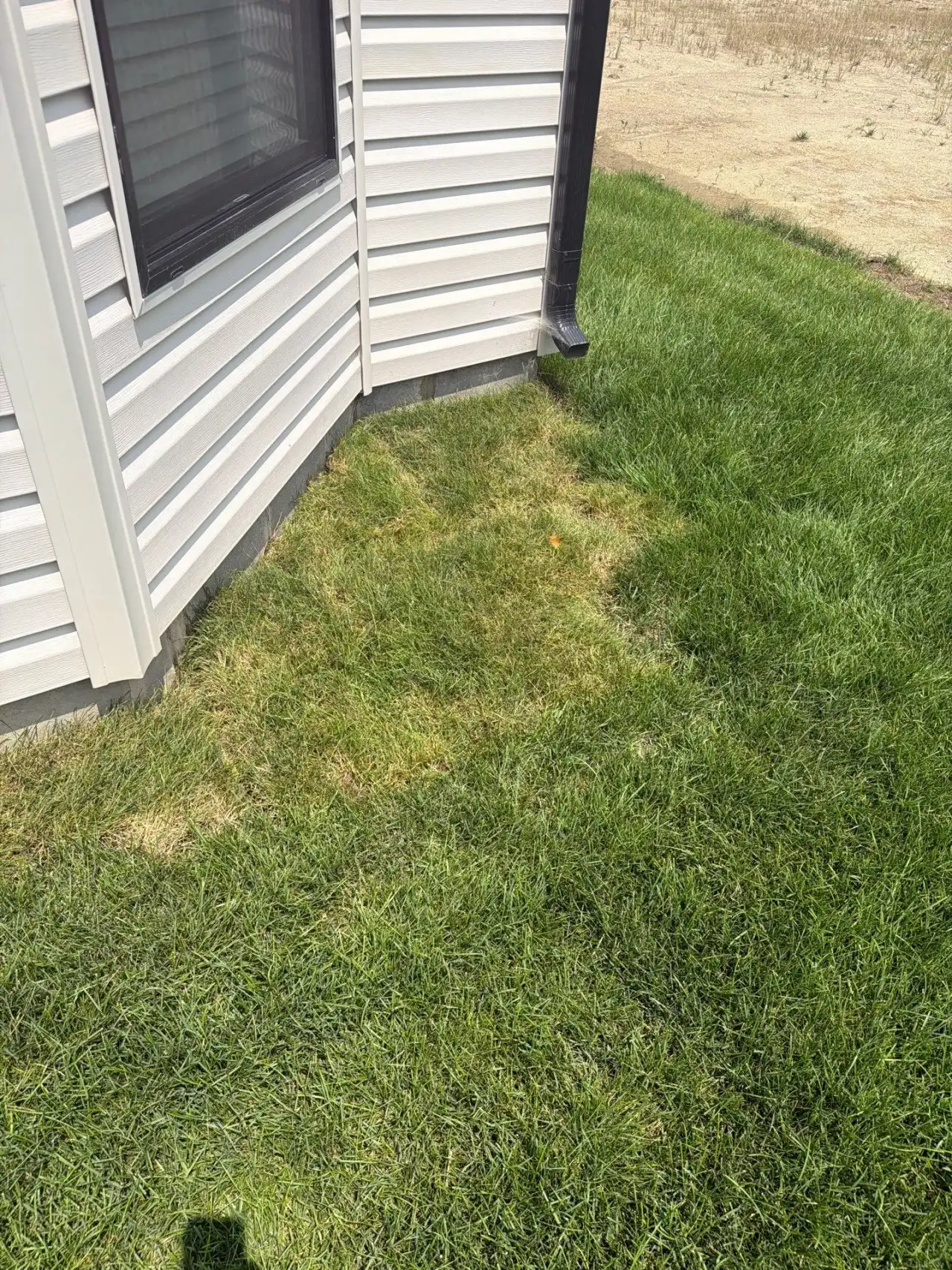 Dry, thin patch of lawn beside a West Lafayette, Indiana home that no sprinkler head reaches