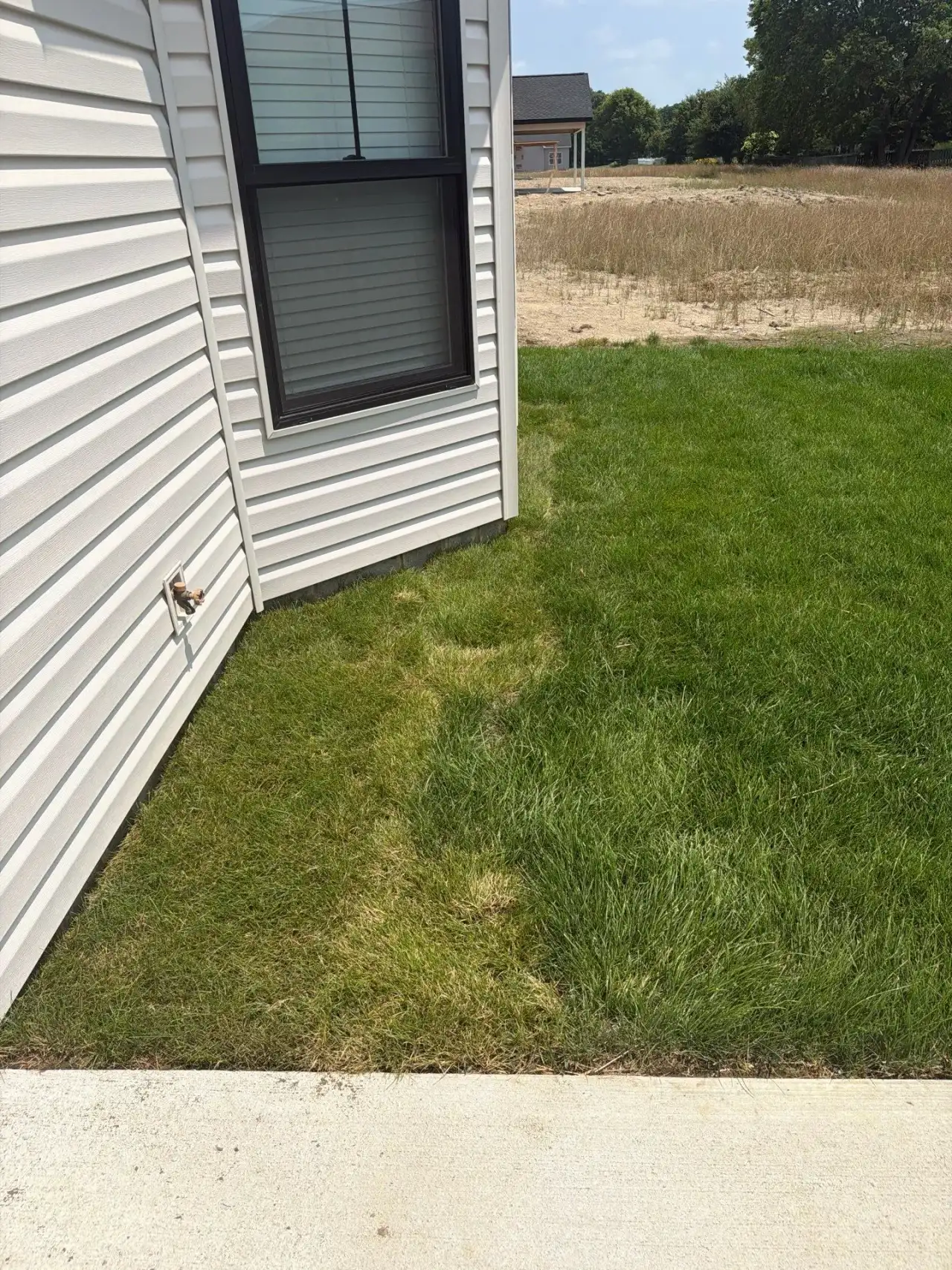 Dry strip of lawn at the corner of a West Lafayette, Indiana home where no sprinkler reaches