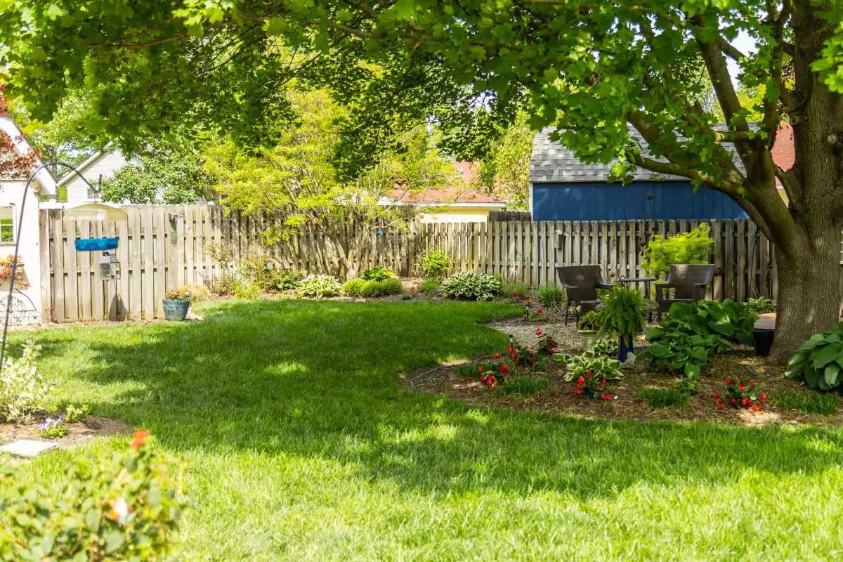 Shaded backyard lawn with flower beds and a wooden privacy fence