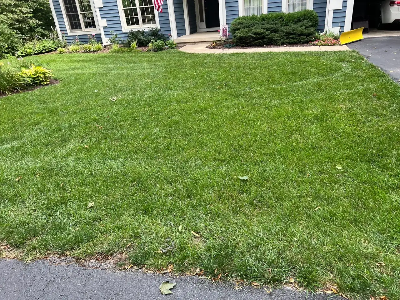 Front lawn of a blue-sided home with an American flag in West Lafayette, Indiana