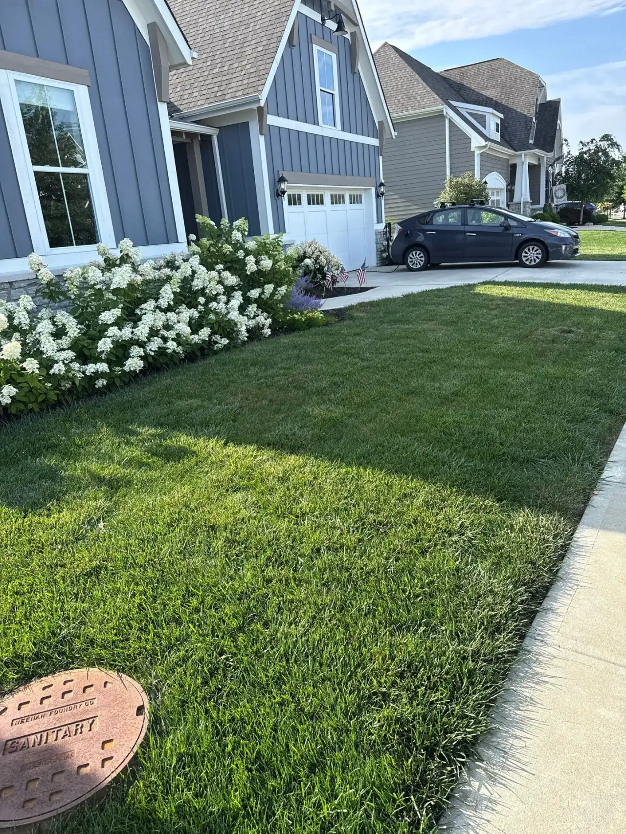 Front lawn beside blooming hydrangeas in Westfield, Indiana