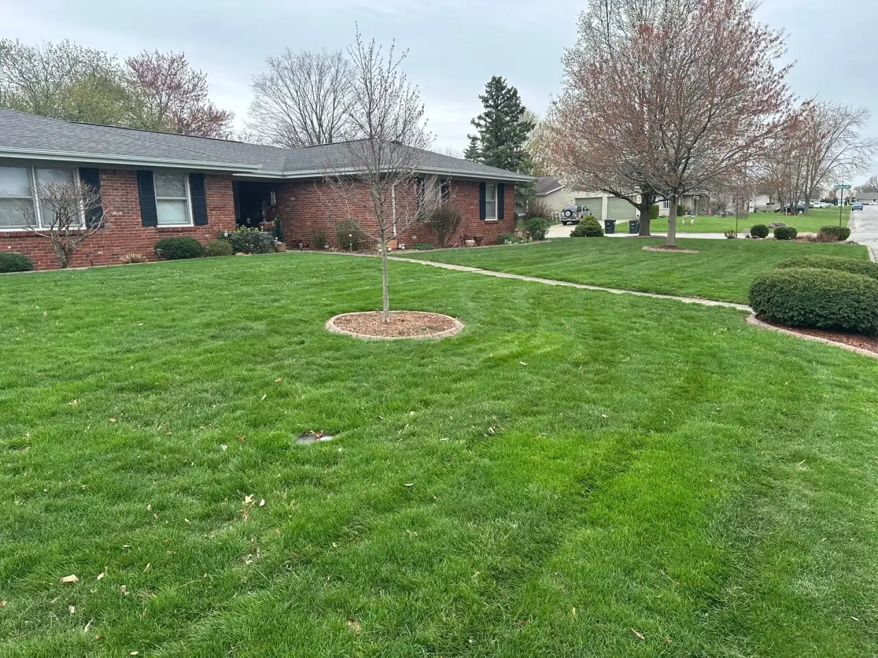 Front lawn and landscaped tree ring at a brick ranch home in Lafayette, Indiana