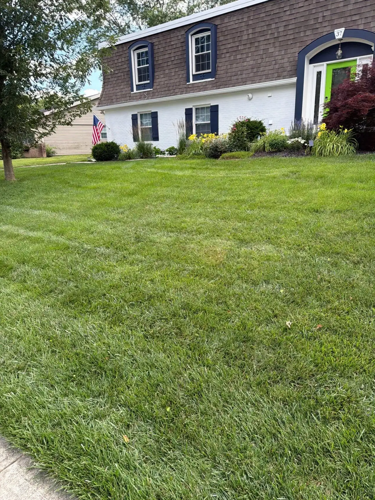Thick front lawn leading to a two-story home with dark shutters in Carmel, Indiana