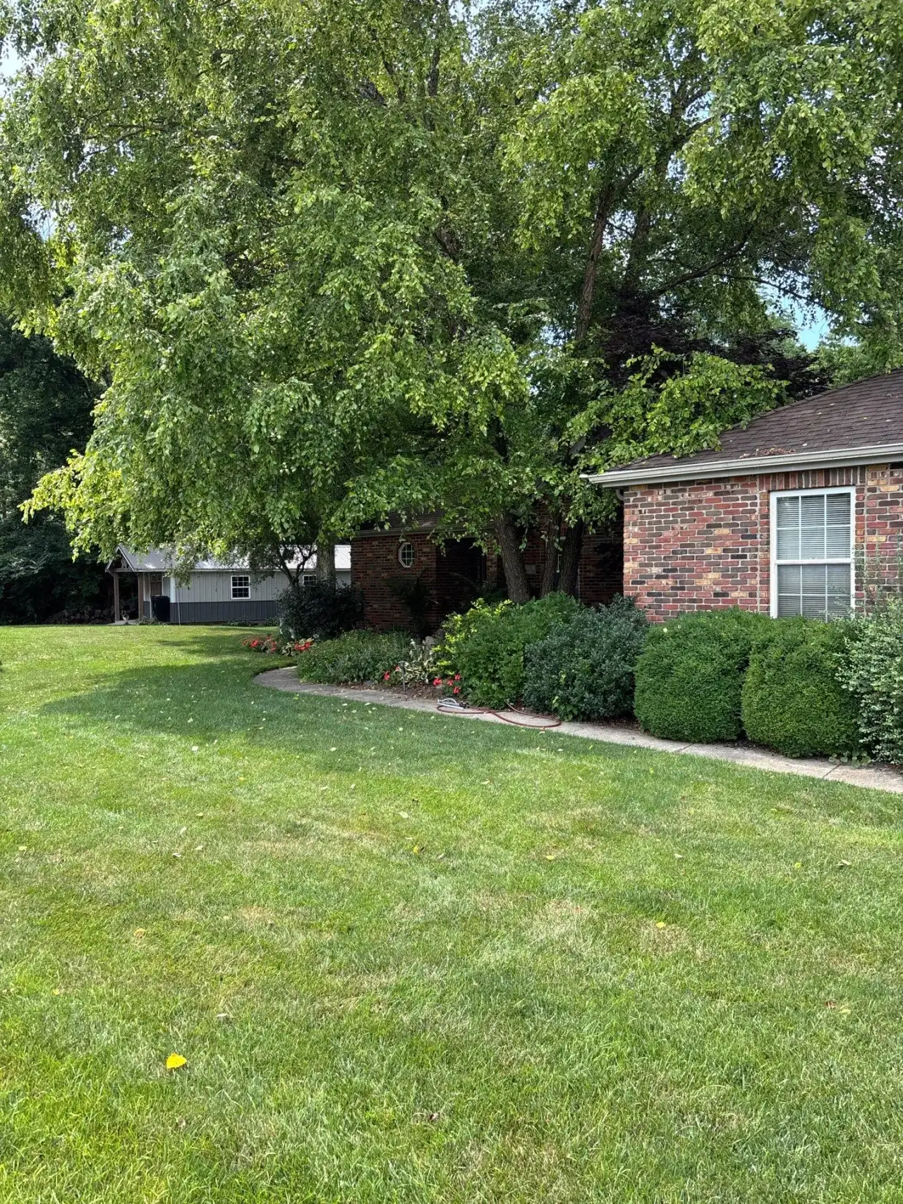 Lawn along the foundation shrubs of a brick home in Lafayette, Indiana