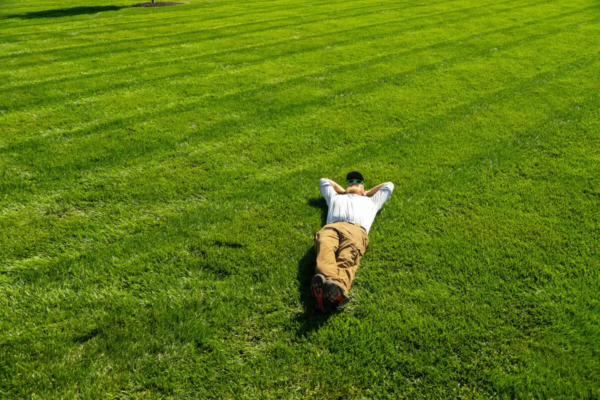 Person lying on their back in the middle of a wide, striped green lawn