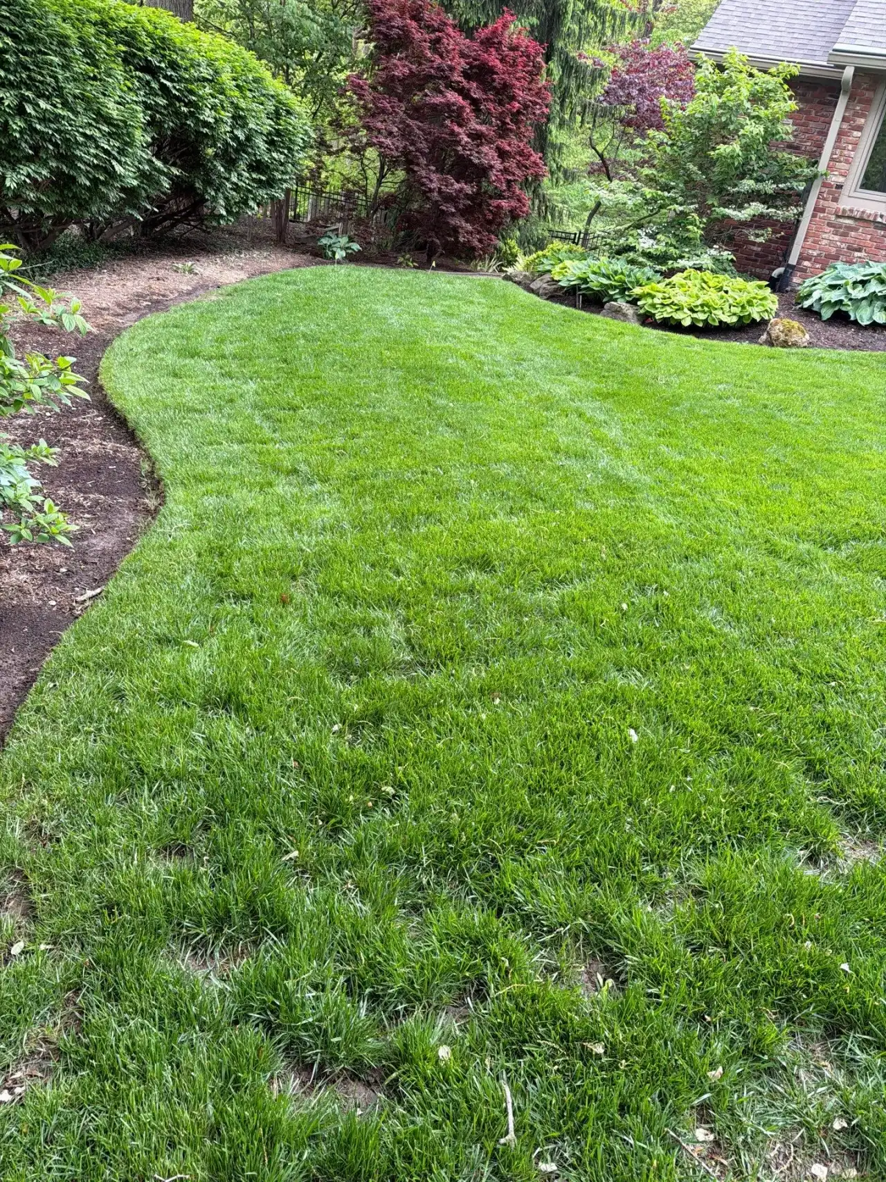 Thick green lawn edged by a curving garden bed in Carmel, Indiana