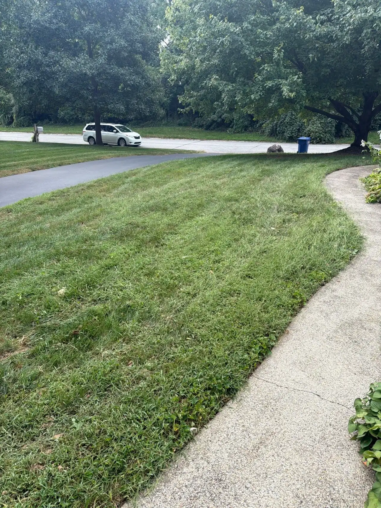 Green lawn along a curving sidewalk in Zionsville, Indiana