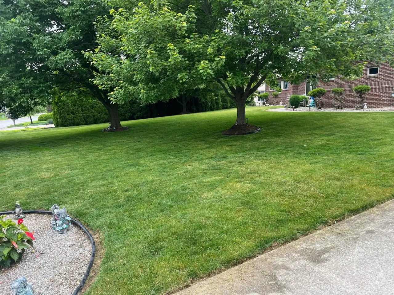 Lawn with mature shade trees and a gravel flower bed beside a brick home in Kokomo, Indiana