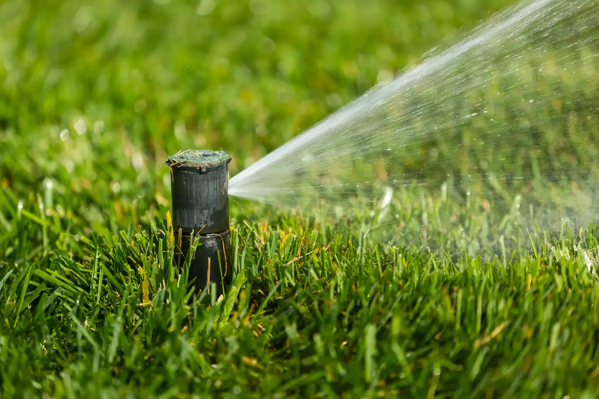 Close-up of a pop-up sprinkler head watering green grass