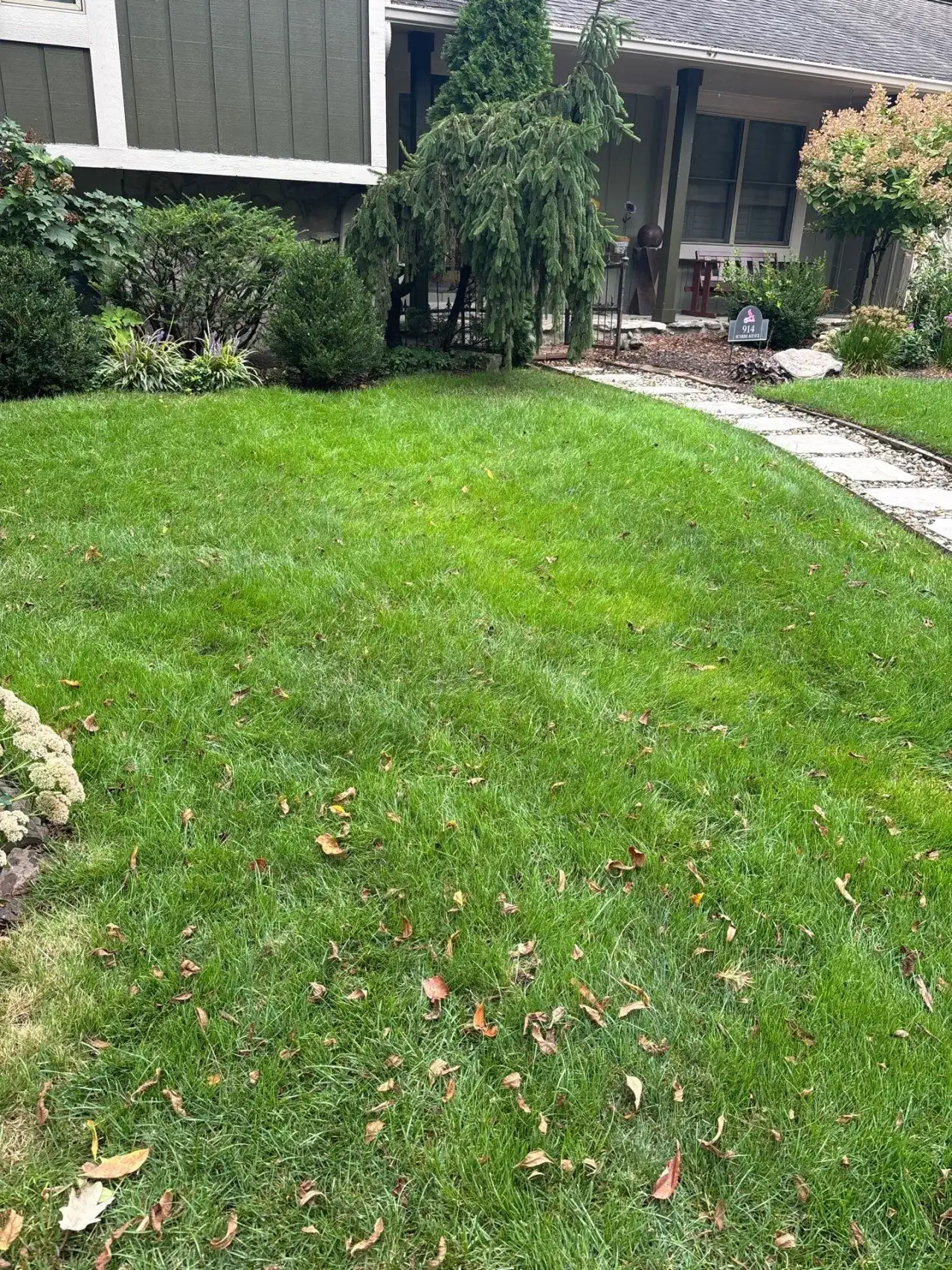 Lawn beside a stone walkway and shrubs in front of a home in Lafayette, Indiana