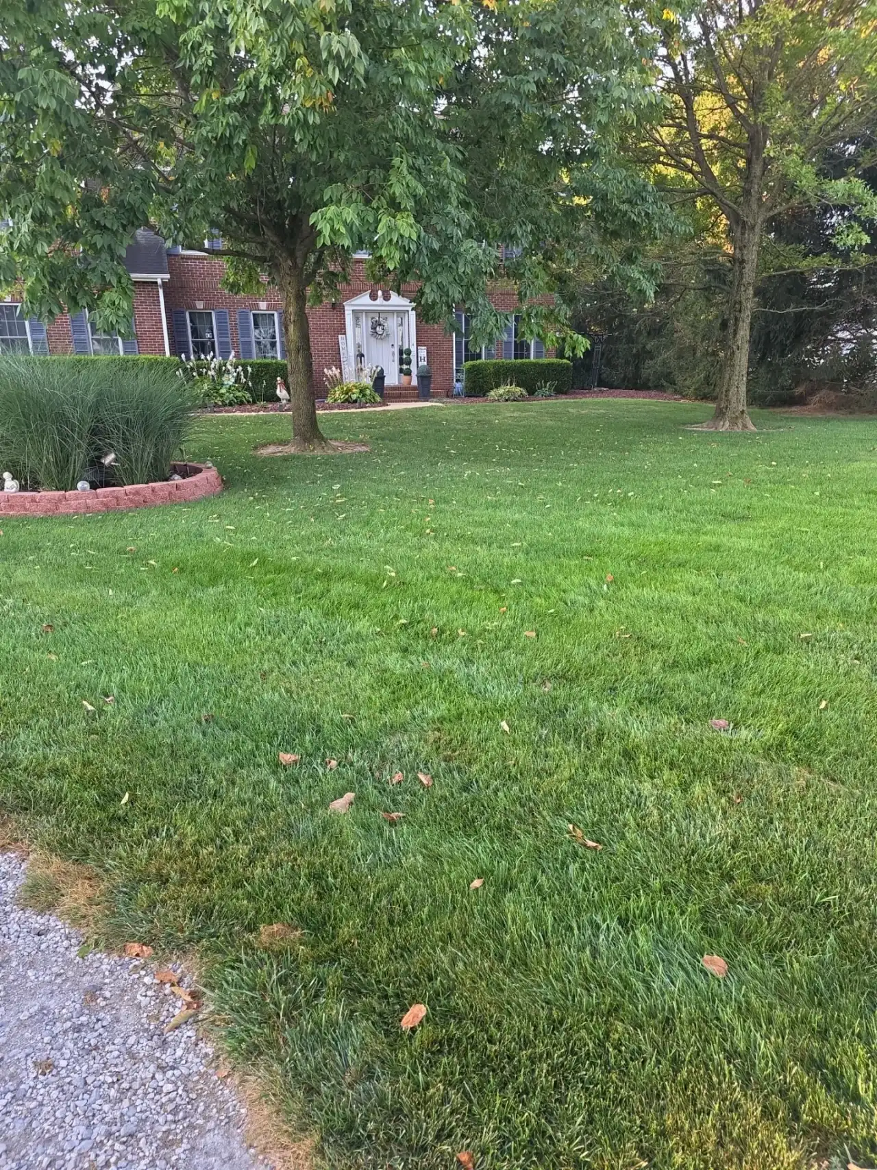 Lawn with shade trees and a raised flower bed near a brick home in Rossville, Indiana