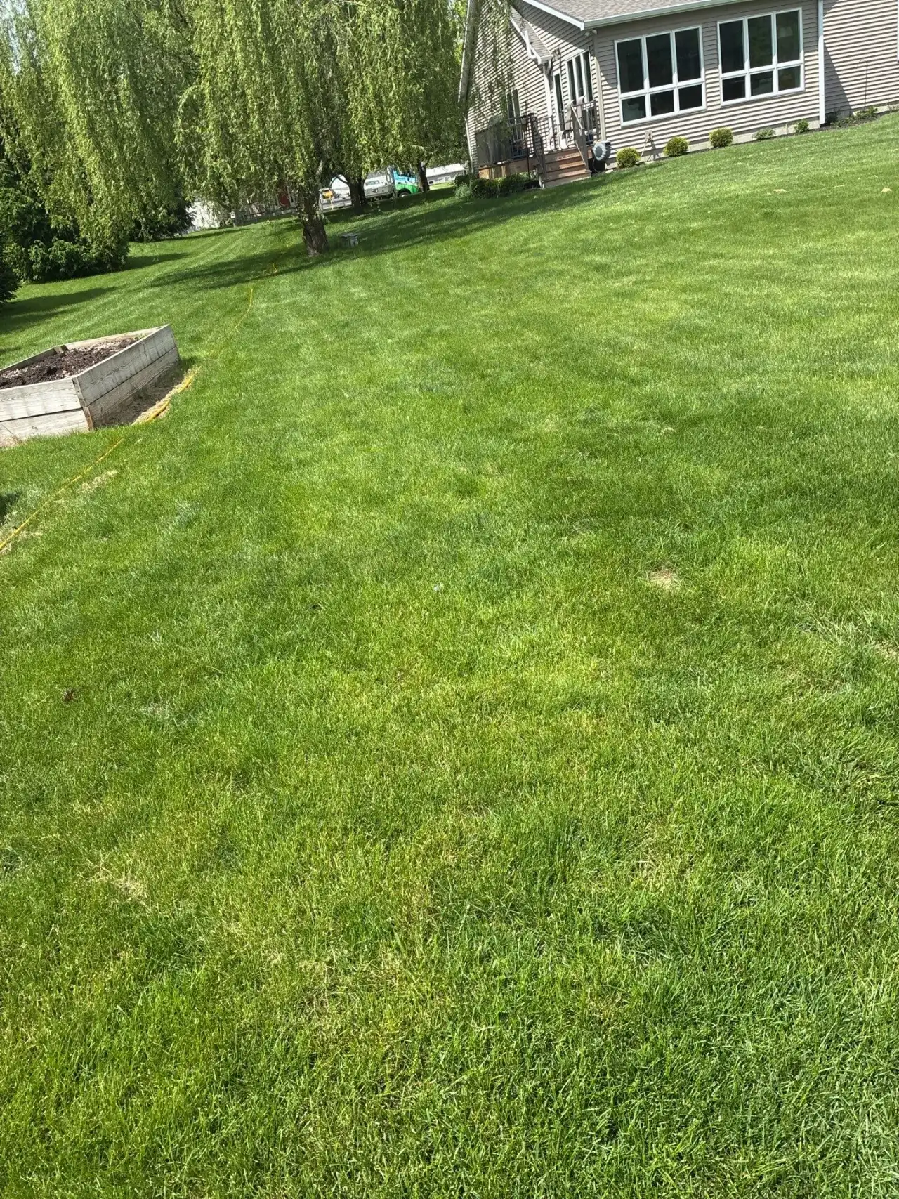 Lawn with a weeping willow and a raised garden bed behind a home in Lafayette, Indiana
