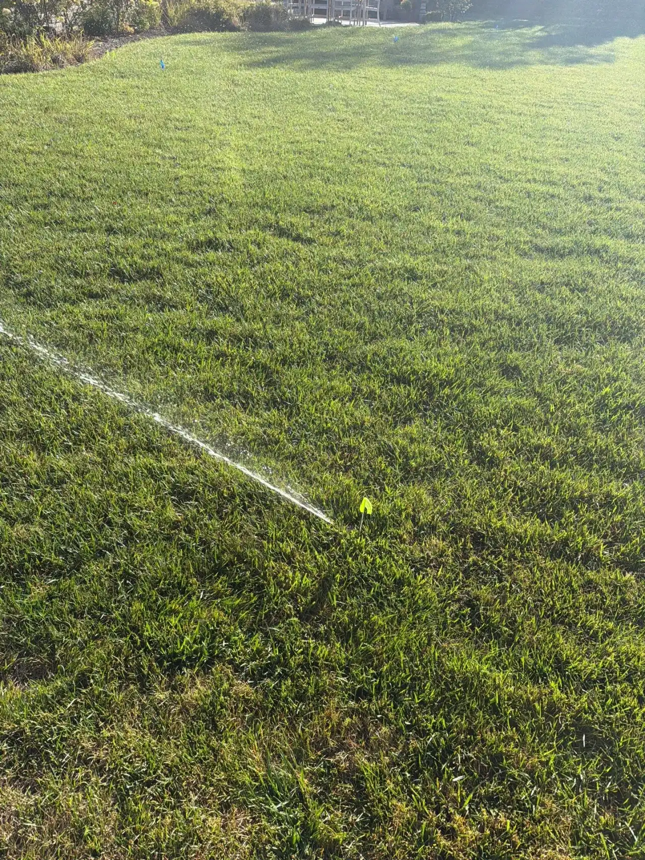 Sprinkler head set low, spraying a flat stream across a Carmel, Indiana lawn