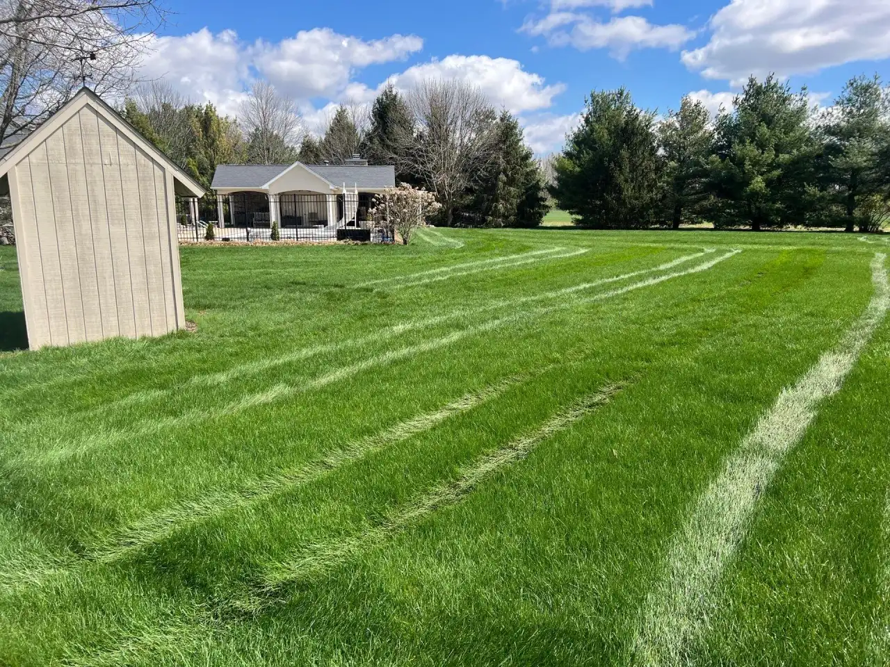 Fresh mowing stripes past a garden shed in West Lafayette, Indiana