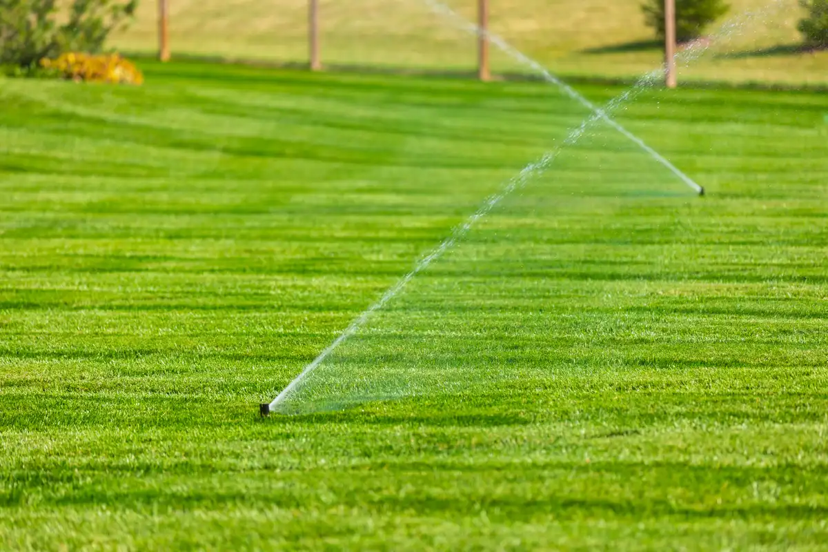 Two sprinkler heads spraying across a striped green lawn