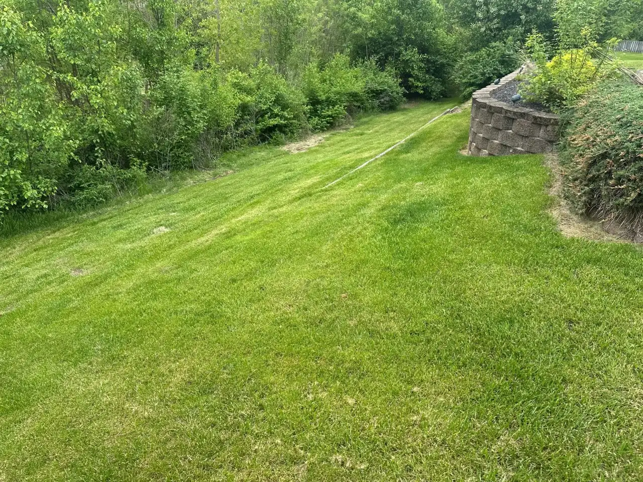 Sloped lawn below a stone retaining wall and woods in Lafayette, Indiana