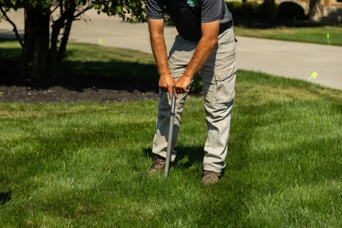 Technician pulling a soil sample from a front lawn with a probe