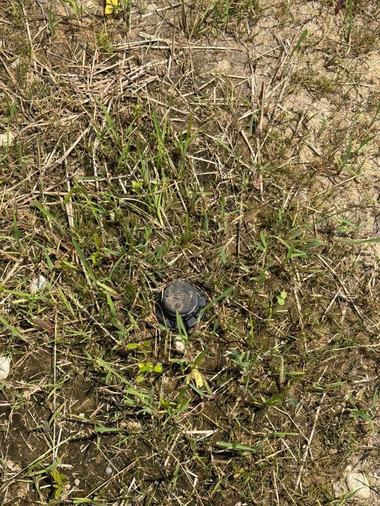 Sprinkler head sitting above the soil line in thin grass in West Lafayette, Indiana