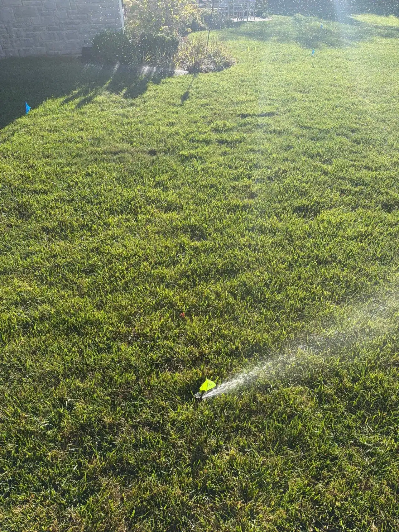 Low sprinkler head spraying across a lawn in Carmel, Indiana