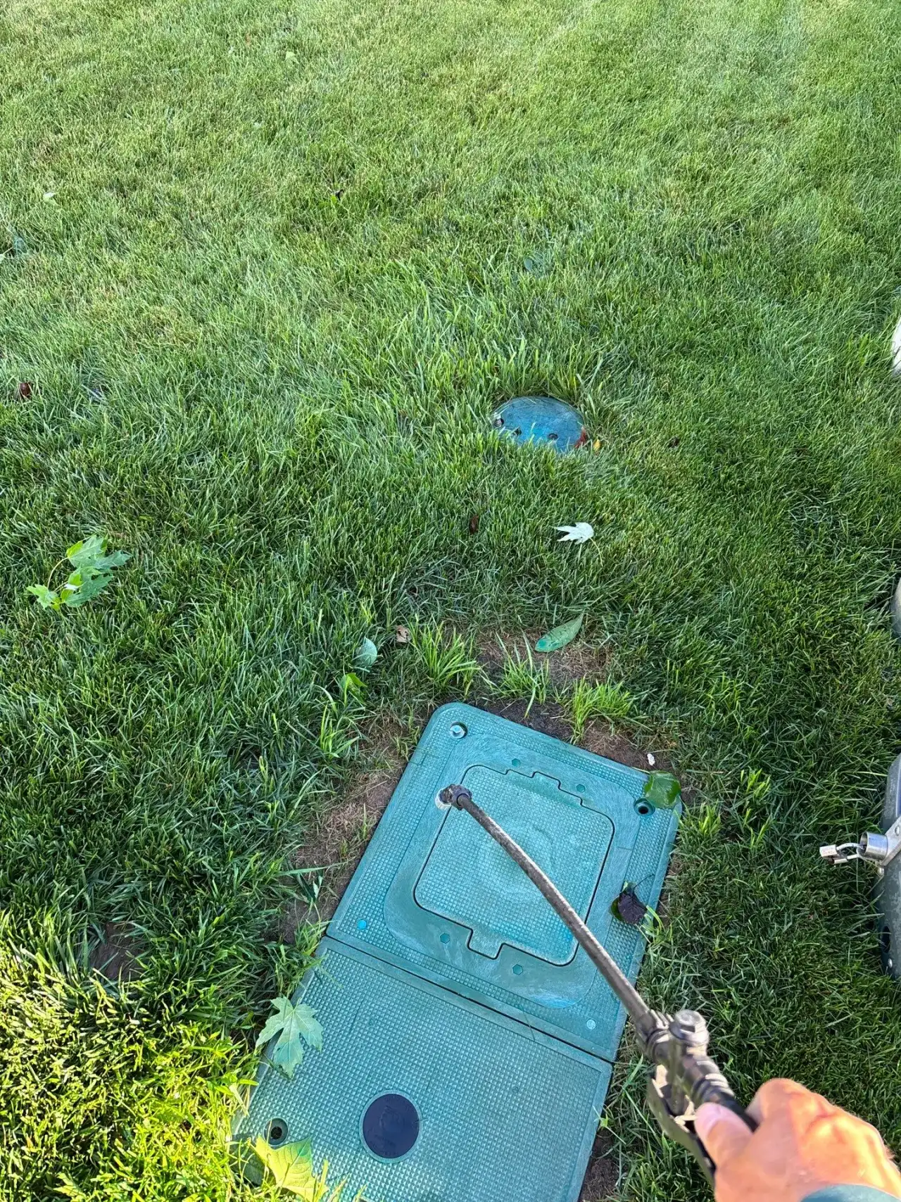 Sprinkler valve box lid in a Lafayette, Indiana lawn