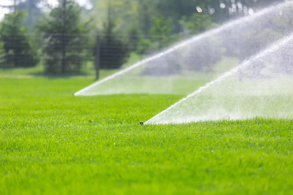 Close-up of sprinklers spraying across a bright green lawn
