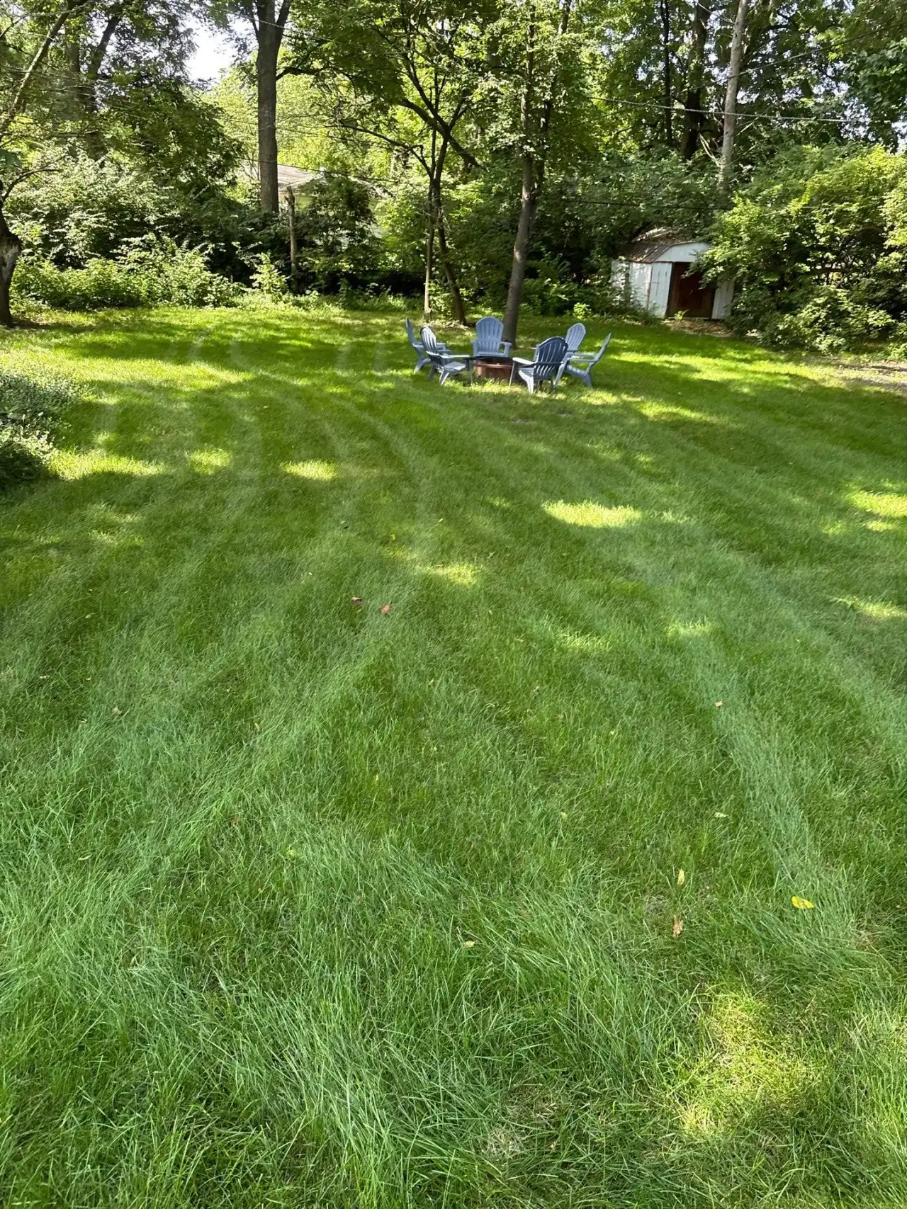 Striped backyard lawn with patio chairs under shade trees in West Lafayette, Indiana