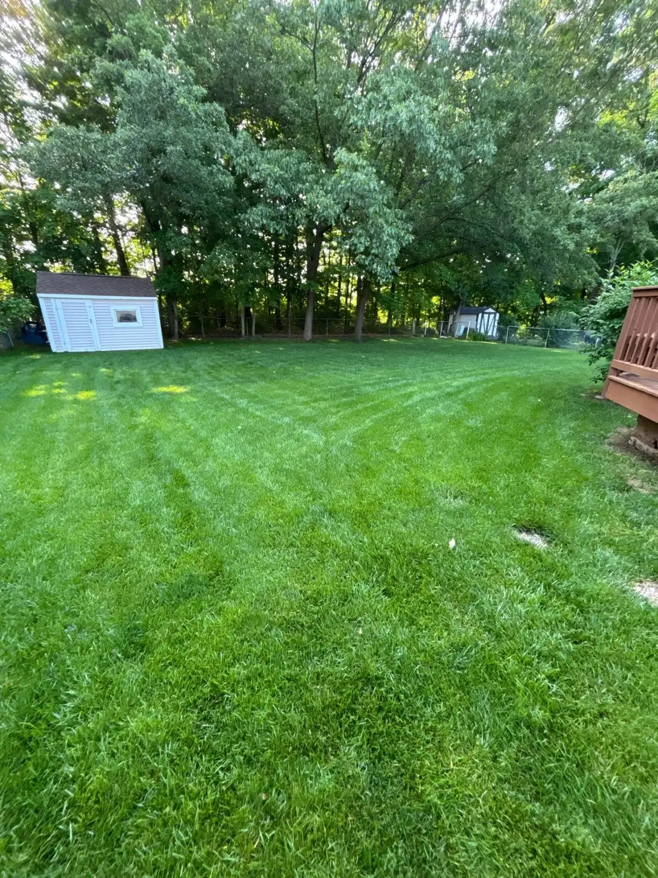 Striped backyard lawn with a garden shed and tall trees in Lafayette, Indiana