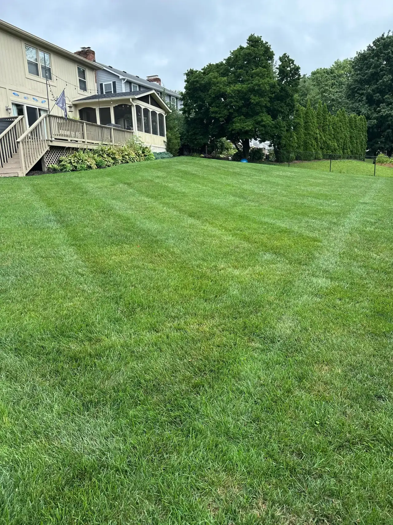 Striped backyard lawn behind a two-story Carmel, Indiana home with a deck