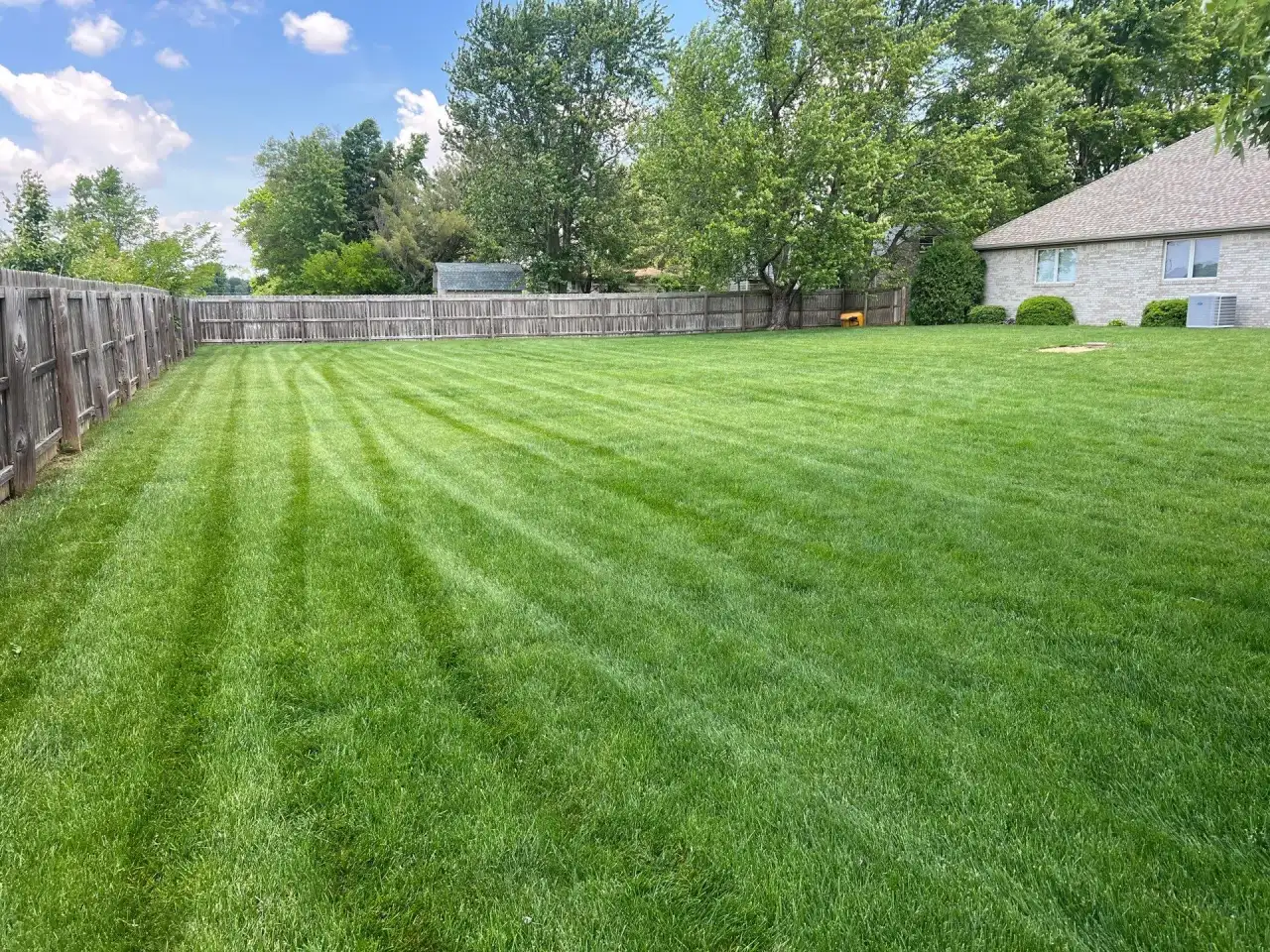 Striped, fenced backyard lawn in Kokomo, Indiana