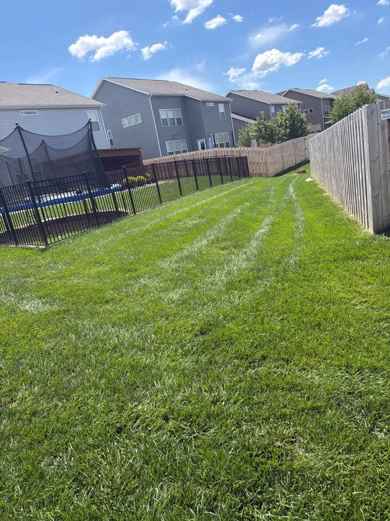 Striped, fenced backyard lawn in a Zionsville, Indiana neighborhood