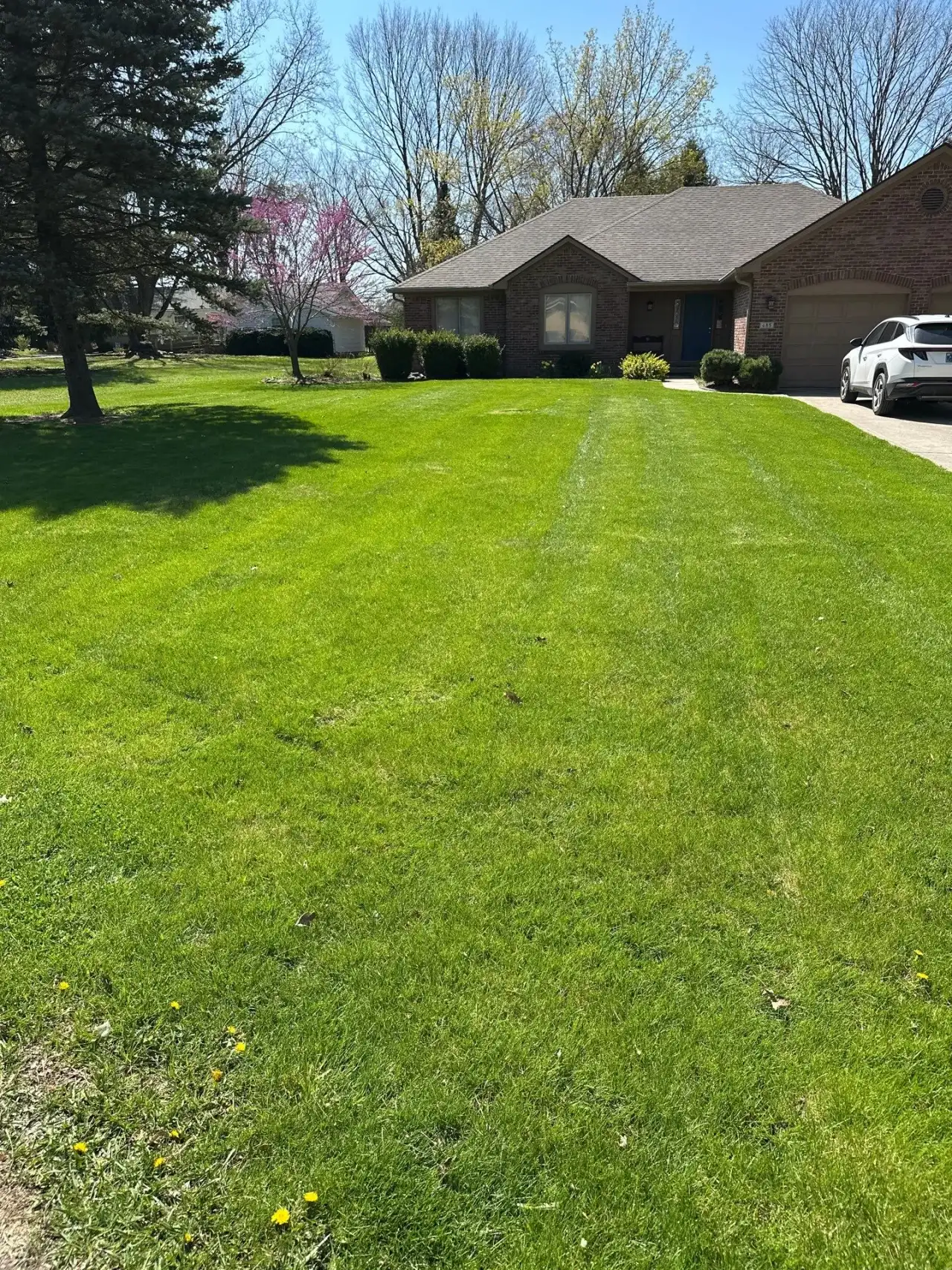 Striped front lawn leading to a brick ranch home in Noblesville, Indiana