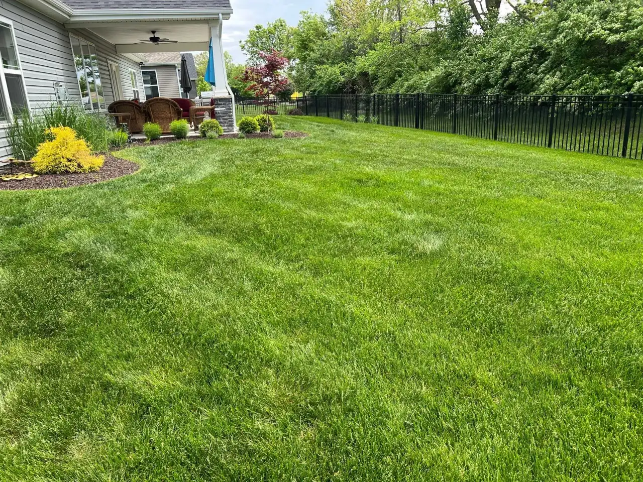 Striped lawn beside a covered porch and an iron fence in West Lafayette, Indiana