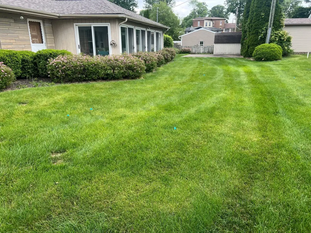 Striped lawn running along a row of flowering shrubs beside a home in Attica, Indiana