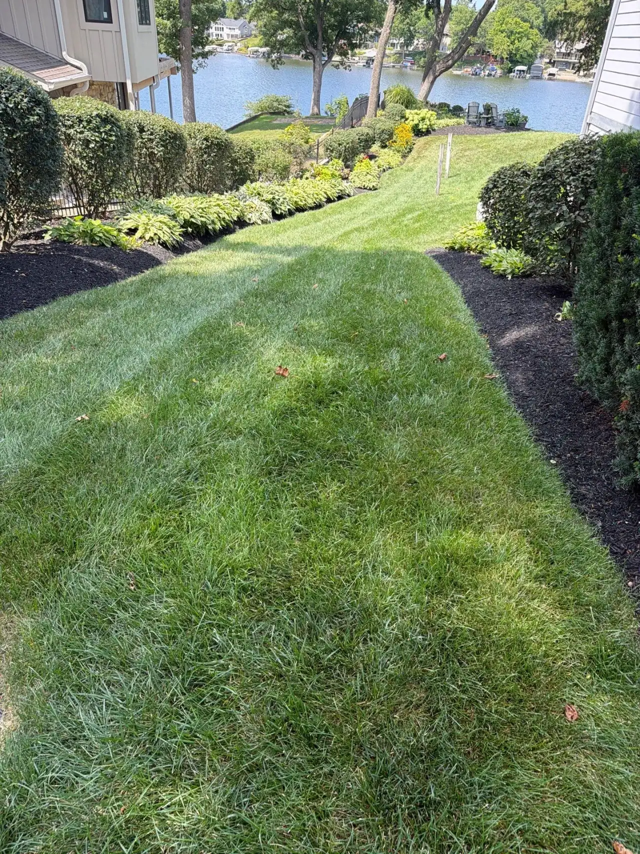 Striped lawn between landscaped beds near the water in Noblesville, Indiana