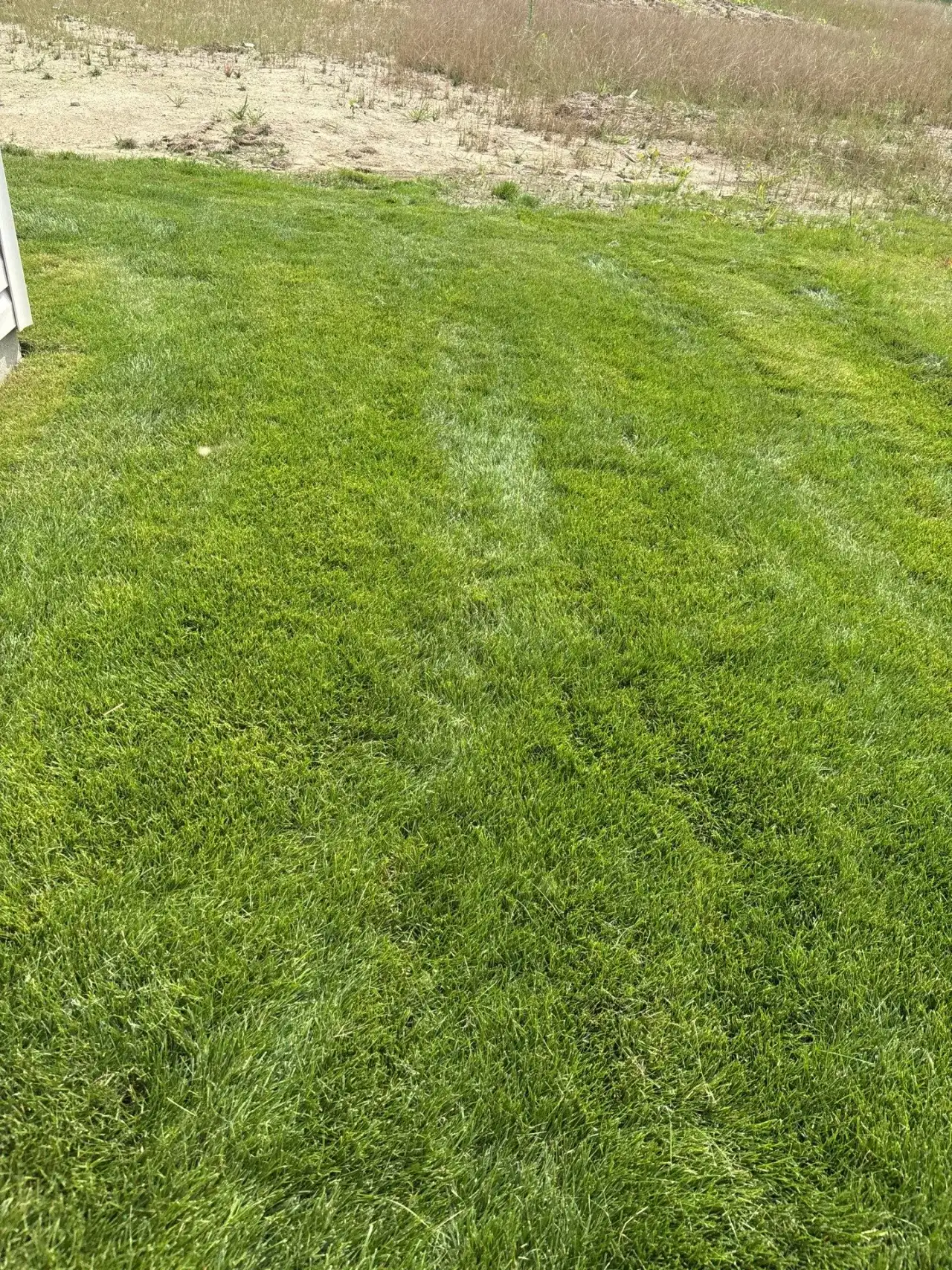 Striped lawn beside an open field in West Lafayette, Indiana