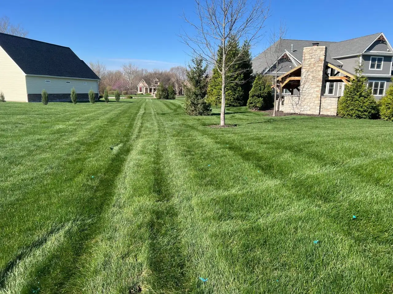 Striped side lawn between homes in West Lafayette, Indiana