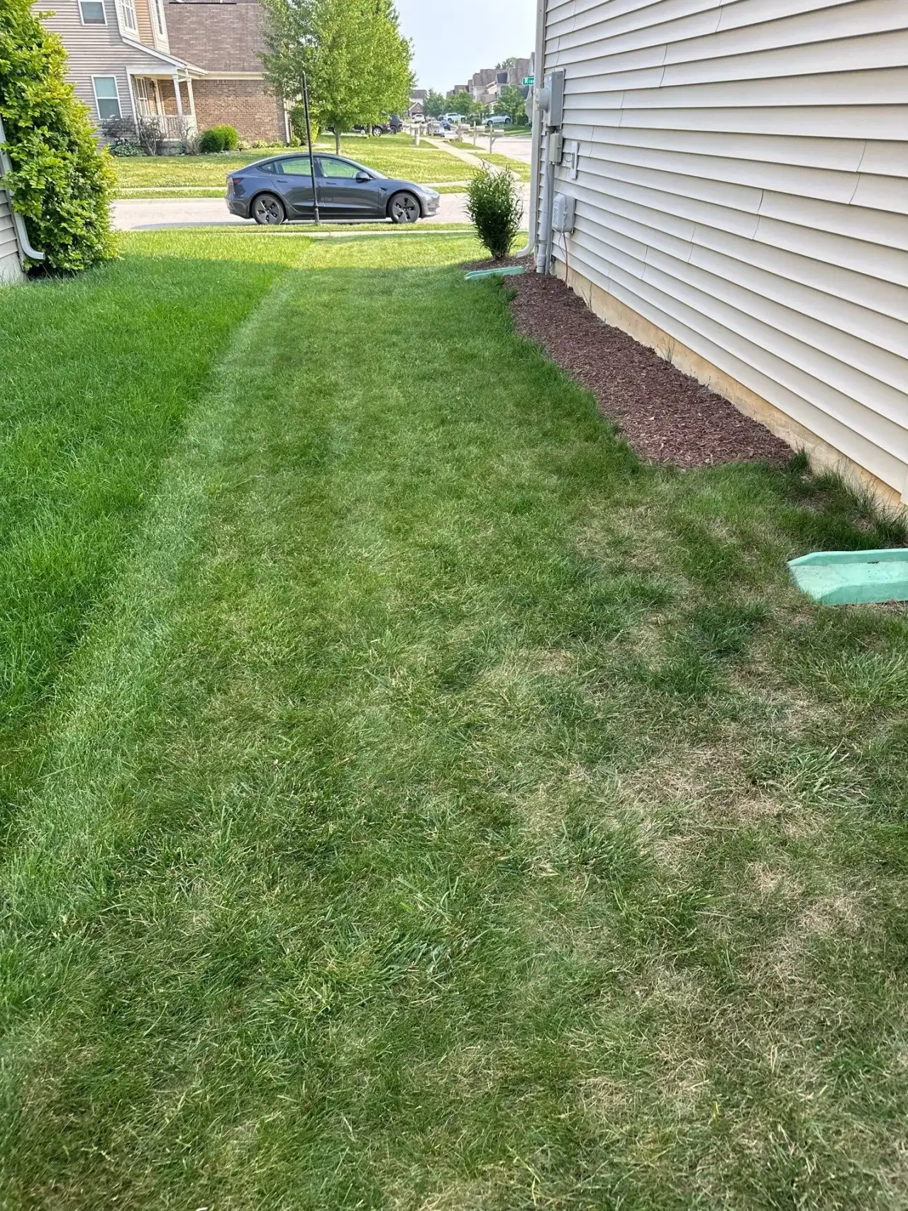 Freshly striped side lawn along the mulch edge of a home in Zionsville, Indiana