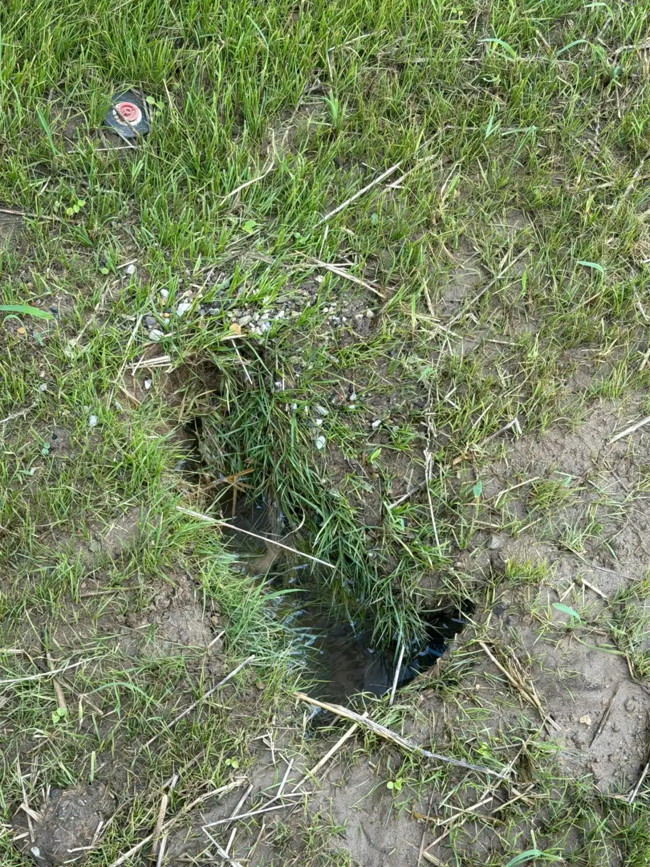 Sunken trench in a West Lafayette, Indiana lawn over a suspected sprinkler line break
