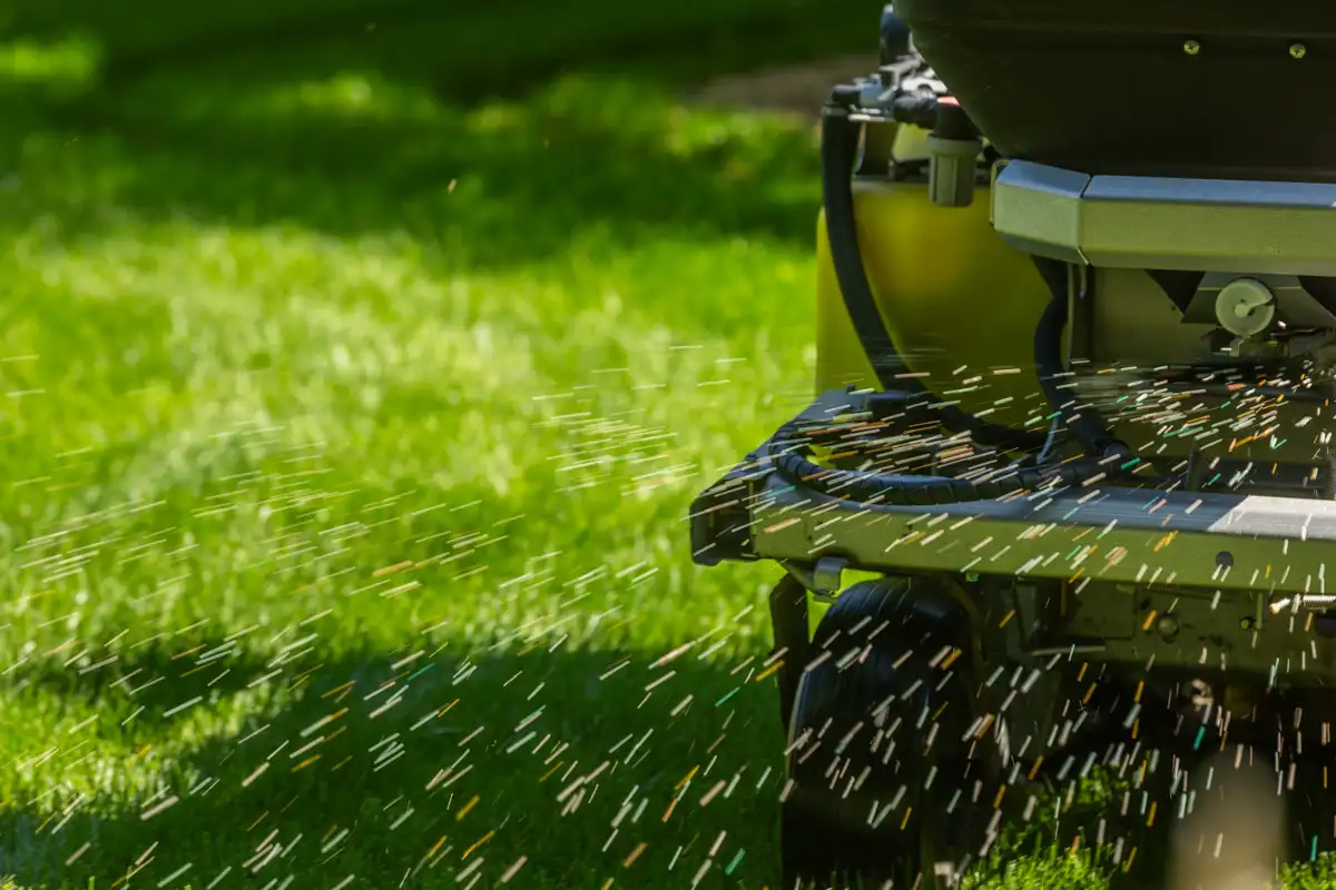 Close-up of granular fertilizer scattering from a ride-on spreader onto a lawn